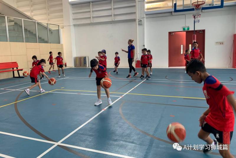 新加坡德威國際學校