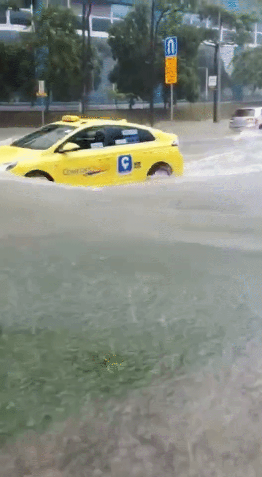 今增119，累计42432 | 暴雨初歇涨水方退，新加坡国会已解散，正式进入大选模式