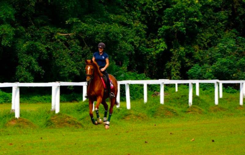 周末假裝出國遊!新加坡最具異國風情的小衆景點推薦