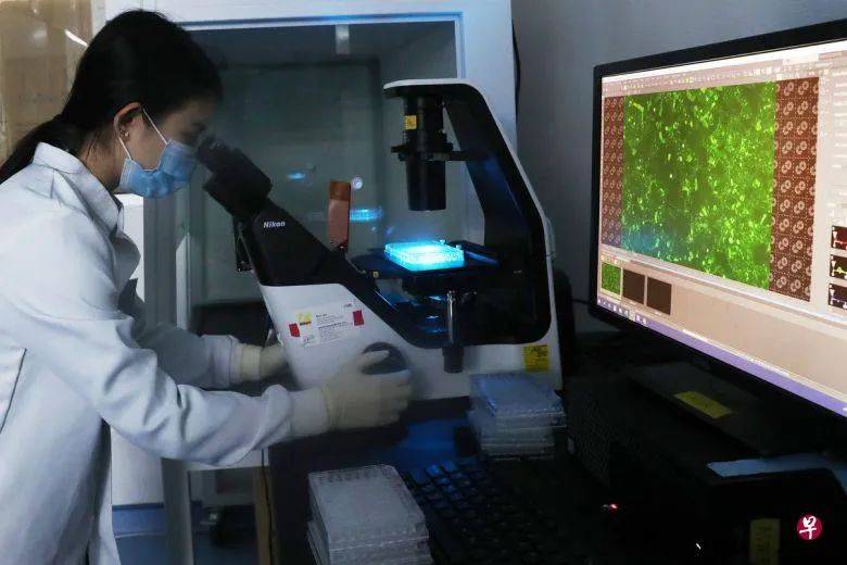 新加坡進入第三階段！在這之前，你可能需要冷靜一下