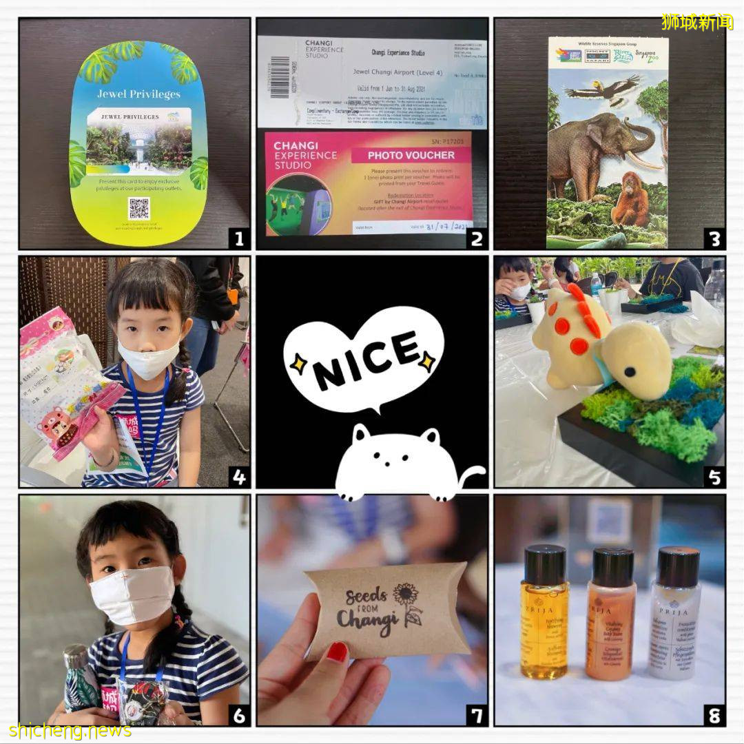 免費送票！$58就能露營機場，兩天一夜住帳篷，快搶