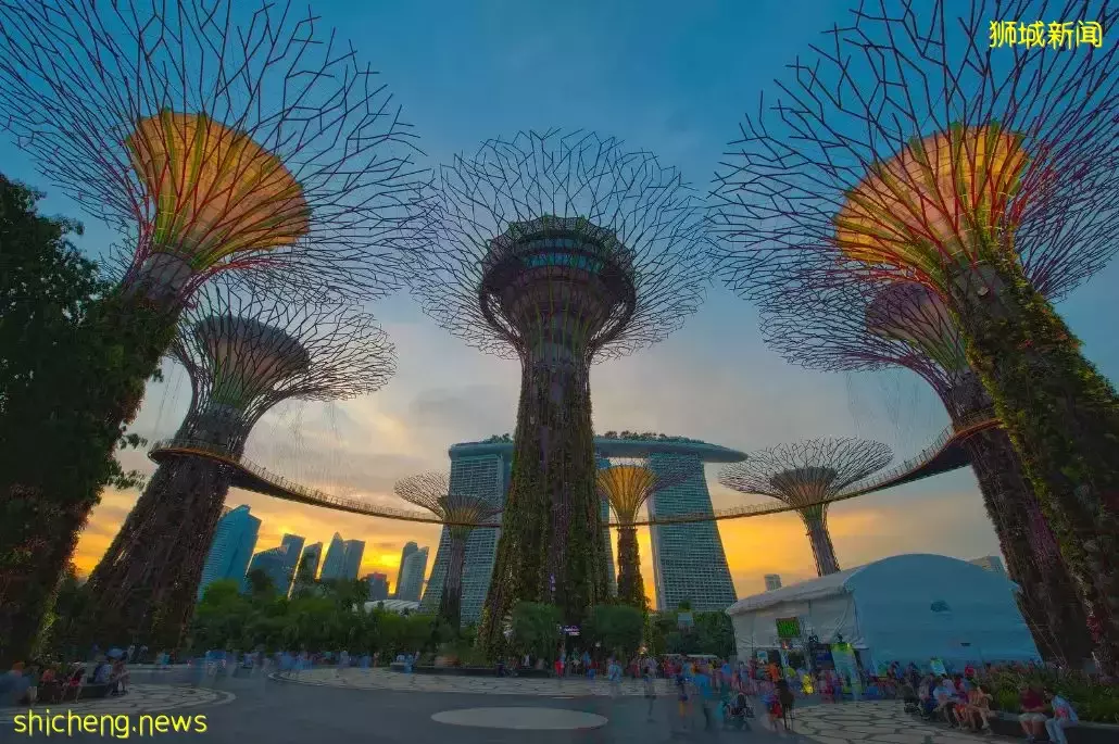 新加坡30件“合法但有病”的事！哈哈哈哈哈