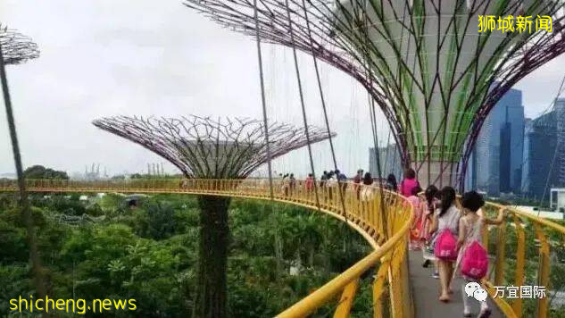 真實的新加坡政府中小學教育！中國家長們有點不敢相信