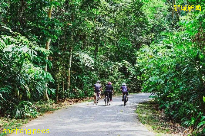 花香鸟鸣,绿荫环绕,新加坡十大生态徒步路线走起