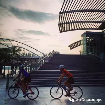 新加坡骑行绝佳路线推荐！新手、带娃通通考虑到了