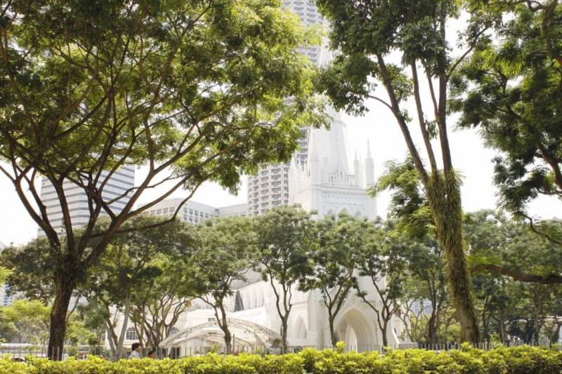 新加坡留学 ，这些商科专业最有“钱”景