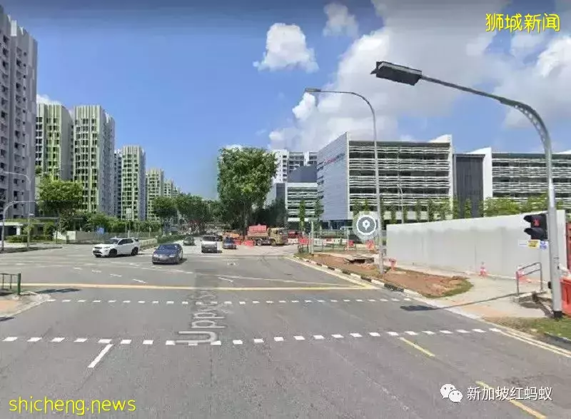 愛因斯坦竟到訪過新加坡的首個動物園,還贊說“好棒”