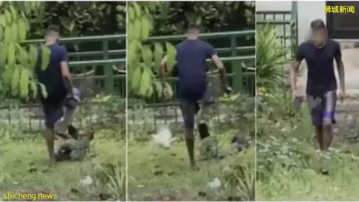 网传男子虐打野鸡  AVS对事件表示关注