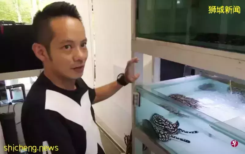 30万装修洋房养百条魔鬼鱼批发 商人罚逾1万1000新元