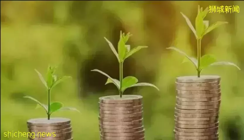 富人多愛新加坡！高淨值人士數目增長4.2% 財富增長5.4%