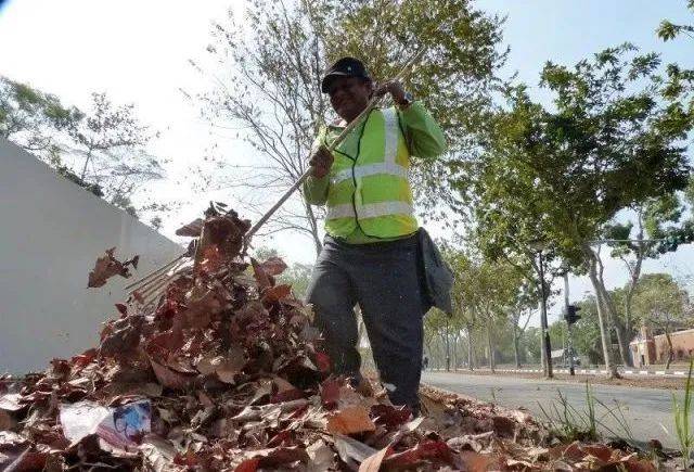 新加坡一天全島沒有清潔工，竟變成了這幅鬼樣子