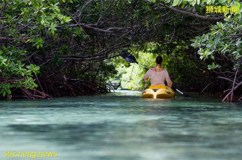 快收藏起來!疫情不能出國就去新加坡這些小衆聖地“度假”吧