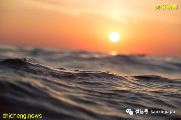 那个在新加坡教《红楼梦》的老师，走了