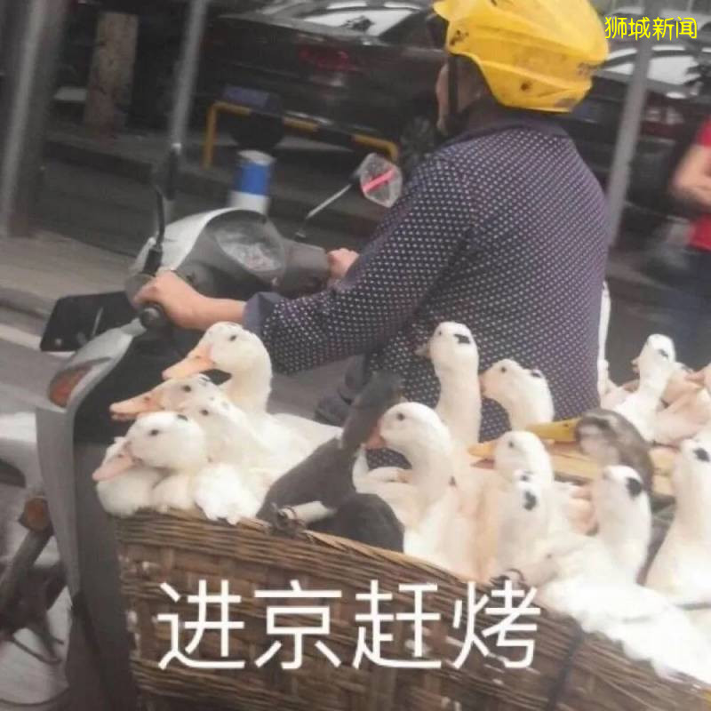 新加坡和香港，去哪讀書性價比最高