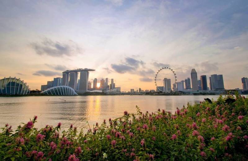 新加坡式慵懒🍉 6大野餐地点合集☀️ 精选+绝美+爆款,平淡生活中制造一点点浪漫