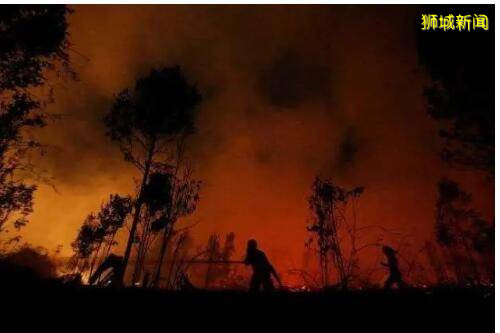 印尼烟霾再袭新加坡，能不能出门点这里就知道了