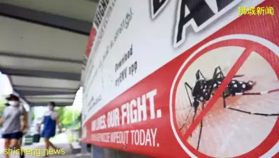 加护病房22天,花费12万新币....新加坡骨痛热症患者激增