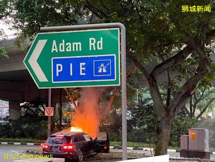 青年疑酒驾 奥迪撞树狂烧