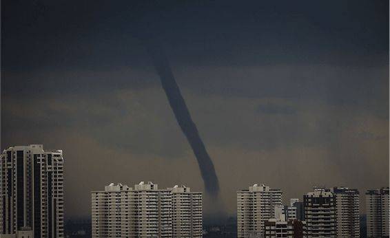 罕見!新加坡聖淘沙這條河變成了粉色,驚現大批死魚!39年創記錄暴雨太作了
