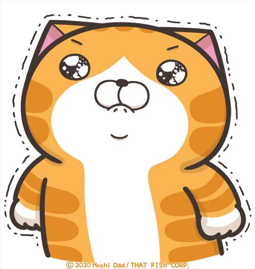 70岁还要去食阁端盘子?深扒新移民在新加坡如何养老