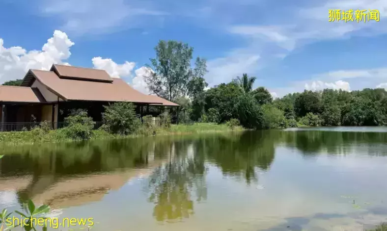 戶外徒步新去處！新加坡新開的7個公園你都遛過了沒