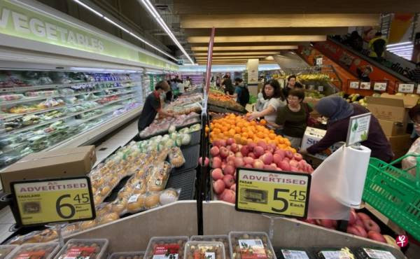狮城 Giant 650个蔬果和日用品  降价约20%至最长半年 
