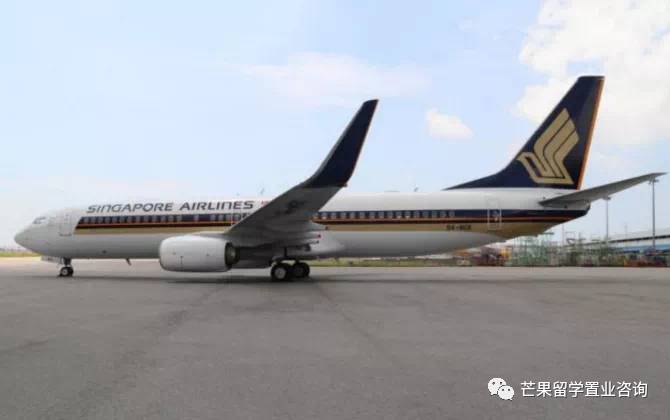 新航恢複重慶航班！從新加坡飛中國有望免隔離，最新回國信息拿好不謝