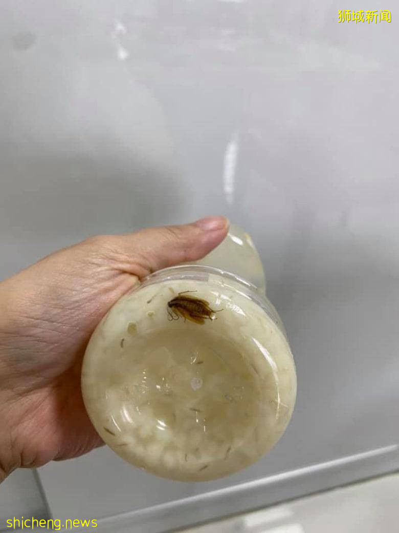 瓶裝涼茶驚見蟑螂 店家:或在裝瓶時出意外