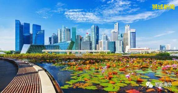 新加坡移民常見的五種方式 看看哪種適合你