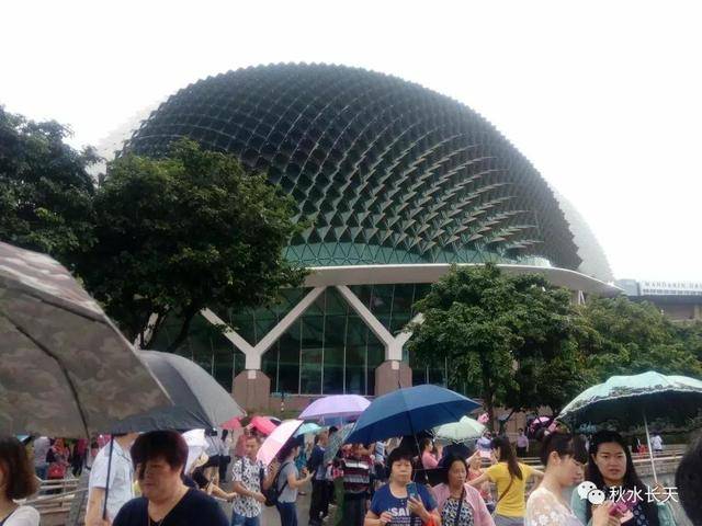 与其说欣赏新加坡的绿,不如说是欣赏新加坡人对绿的珍惜