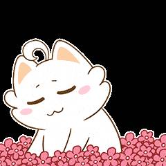 撒花!又有三位NUS商學院校友入選2021福布斯亞洲“30歲以下精英”