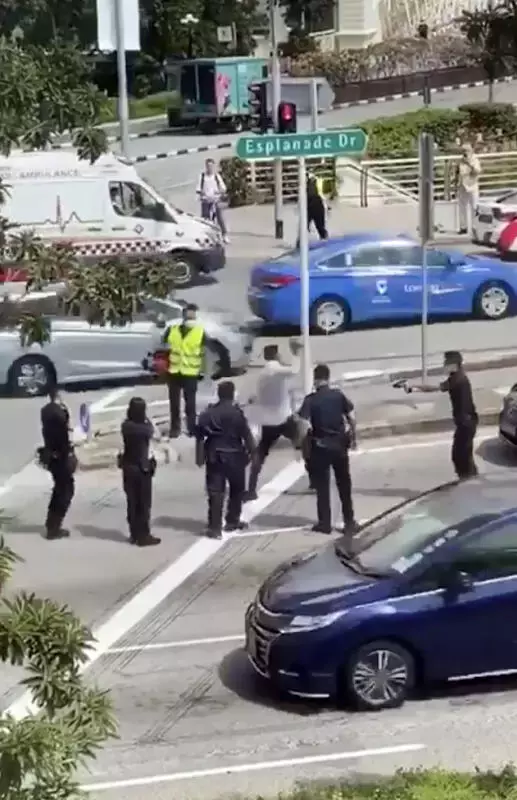 新加坡|路上闲晃袭警遭电击枪制伏 狂汉监1年29周