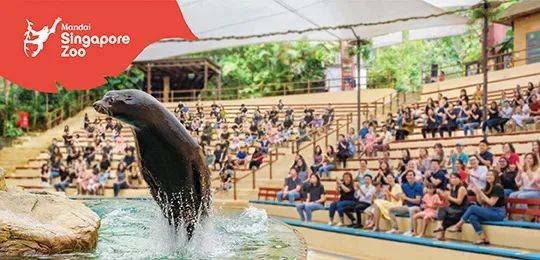 新加坡野生动物保育集团改名为“万态保育集团”,河川生态园和飞禽公园也有了新名字