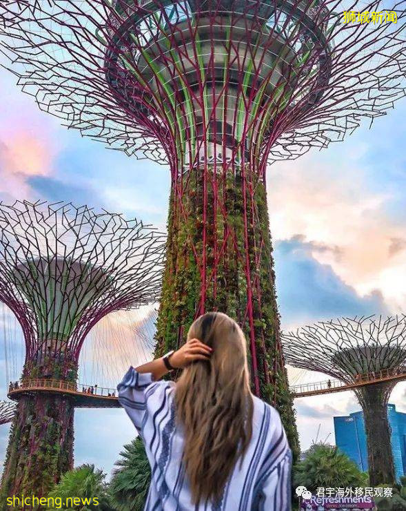 现在正是移民新加坡的“黄金时期”