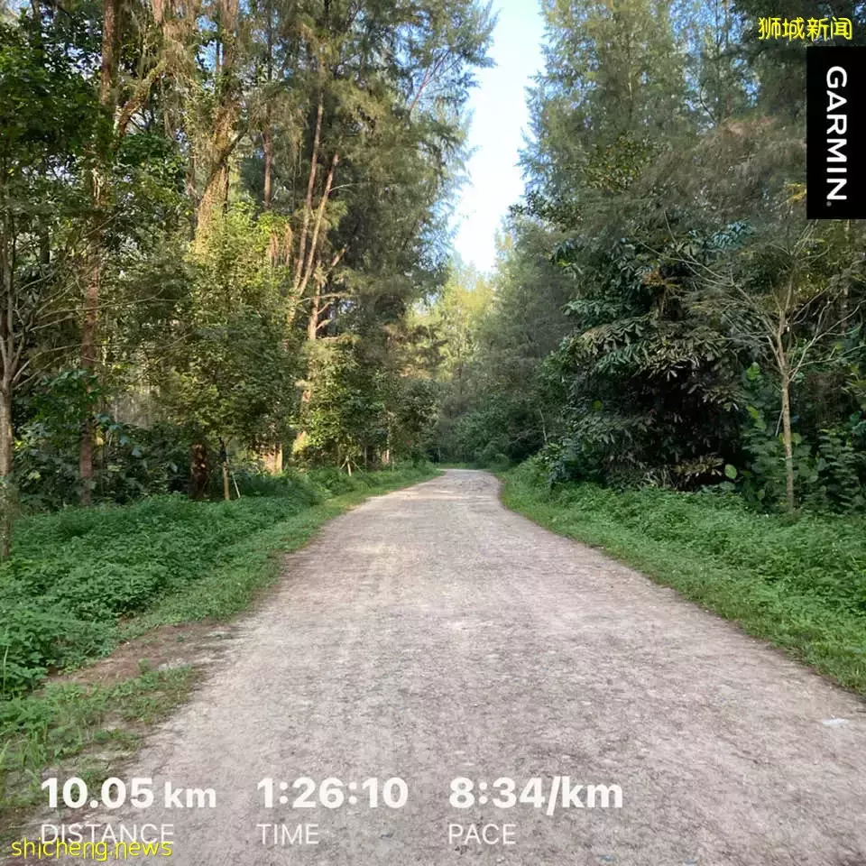 在新加坡的東北部,有個隱秘的小島!不用坐船,每天限時開放