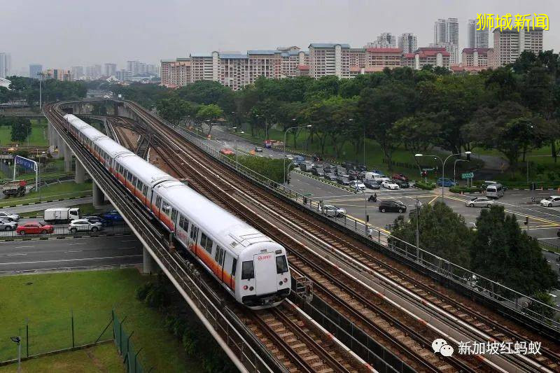 这8个关于新加坡的冷知识 你知道几个