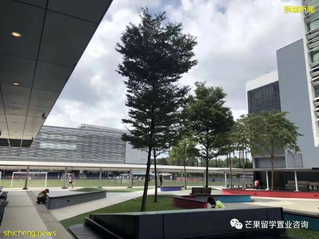 新加坡这两所超人气国际学校,为何独受明星、高管家长青睐