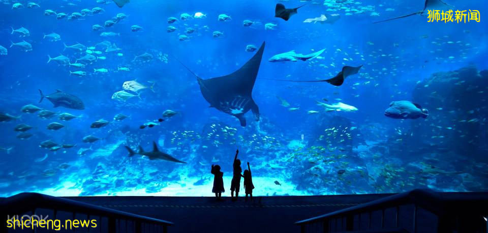 雙11優惠來襲💥豪華酒店買一送一, 環球影城、水上樂園、聖淘沙海洋館低價促銷