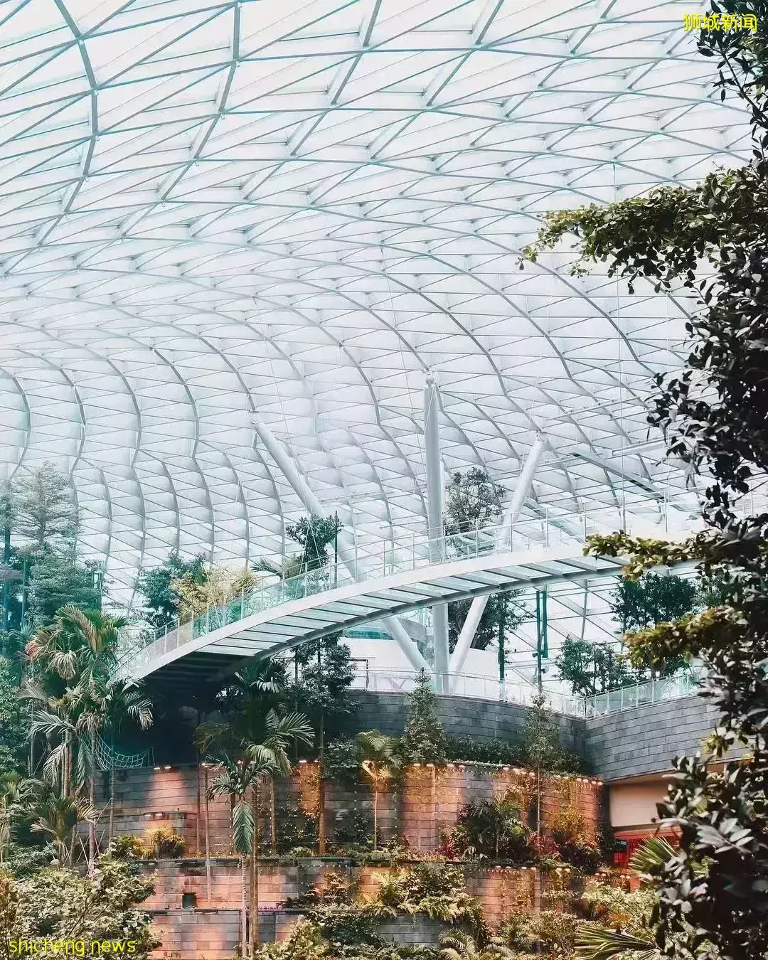 ​新加坡永居申請“大放水”，簽證申請有哪些新變化