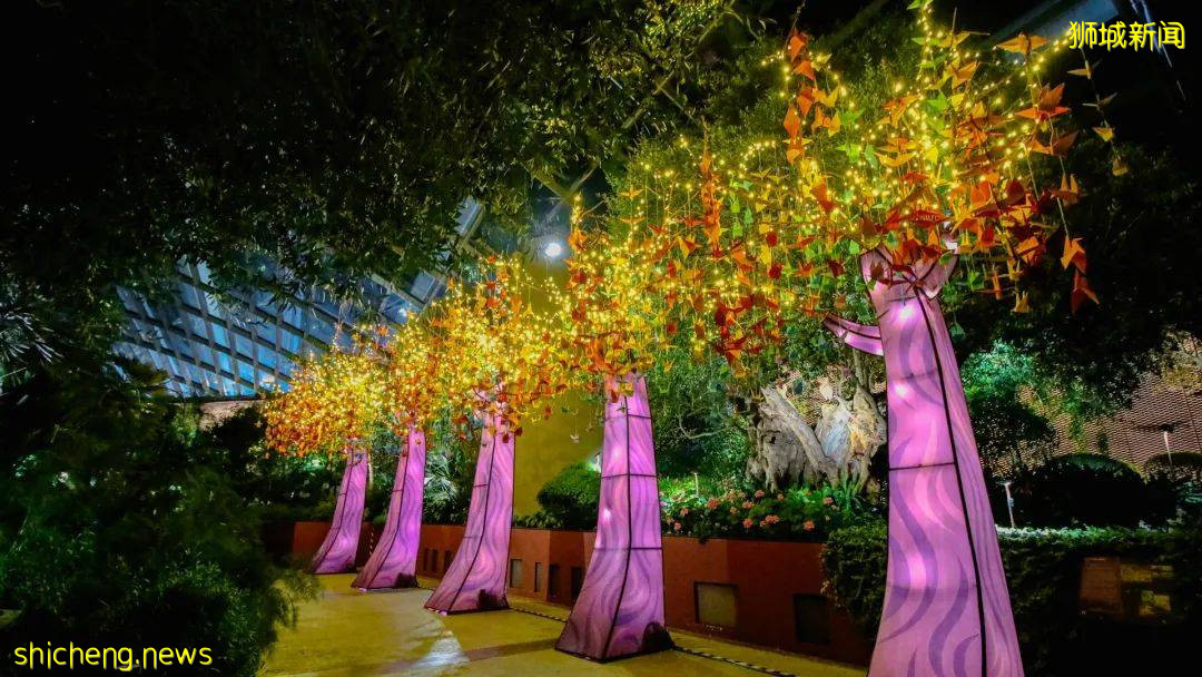新加坡2021中秋花燈打卡點大搜羅！五彩、夢幻、傳統、炫酷、沉浸式，你要的全都有 .