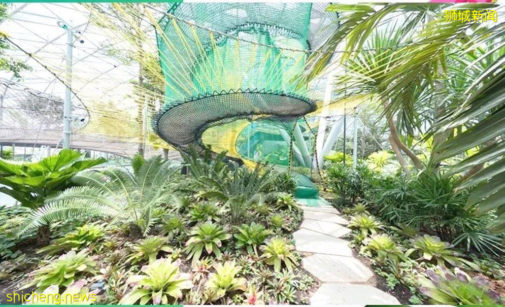 趣味資訊 世界機場排名揭曉，8年蟬聯的樟宜機場失去寶座