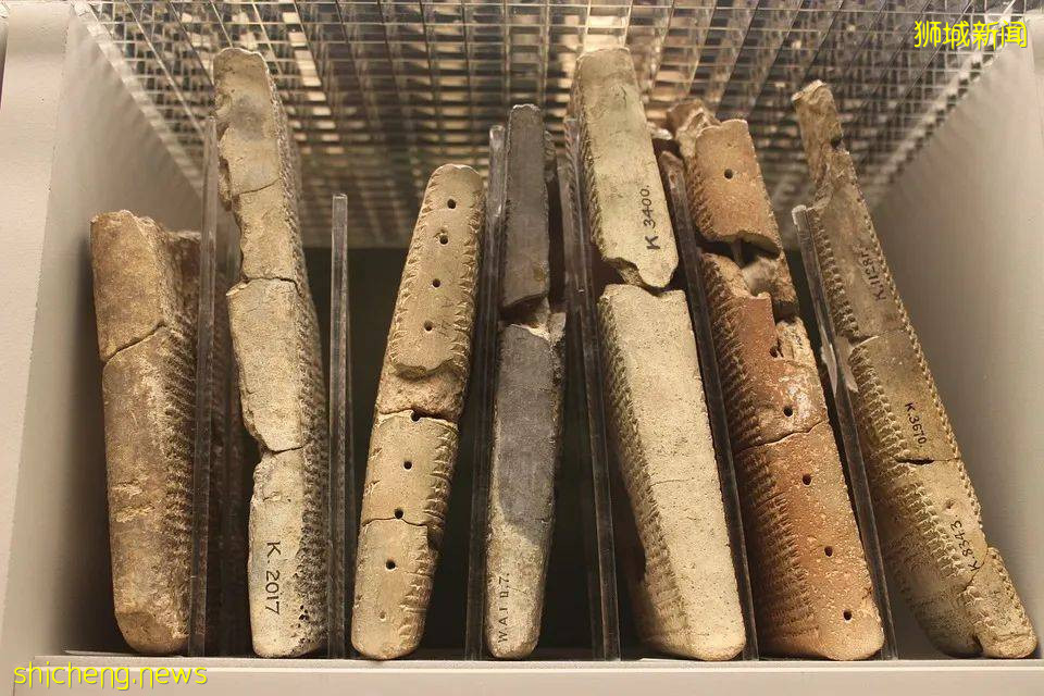 新加坡丨值得一去的博物館（二）