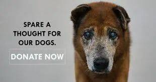 周末去哪玩？一起來探索新加坡本地人都不知道的新奇活動和景點吧