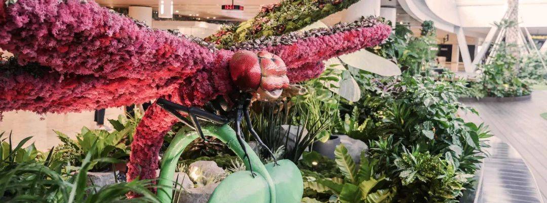樟宜機場 “花園裏的機場”都有哪些花園呢