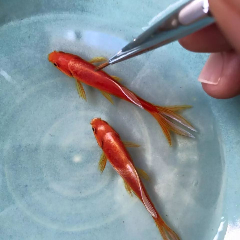 惊艳！新加坡画家用树脂3D作画火遍网络