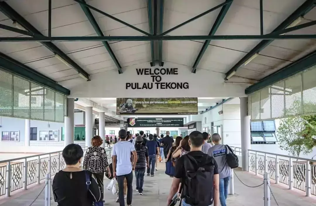 新加坡服兵役:本地公民、PR和新移民之間的區別大嗎