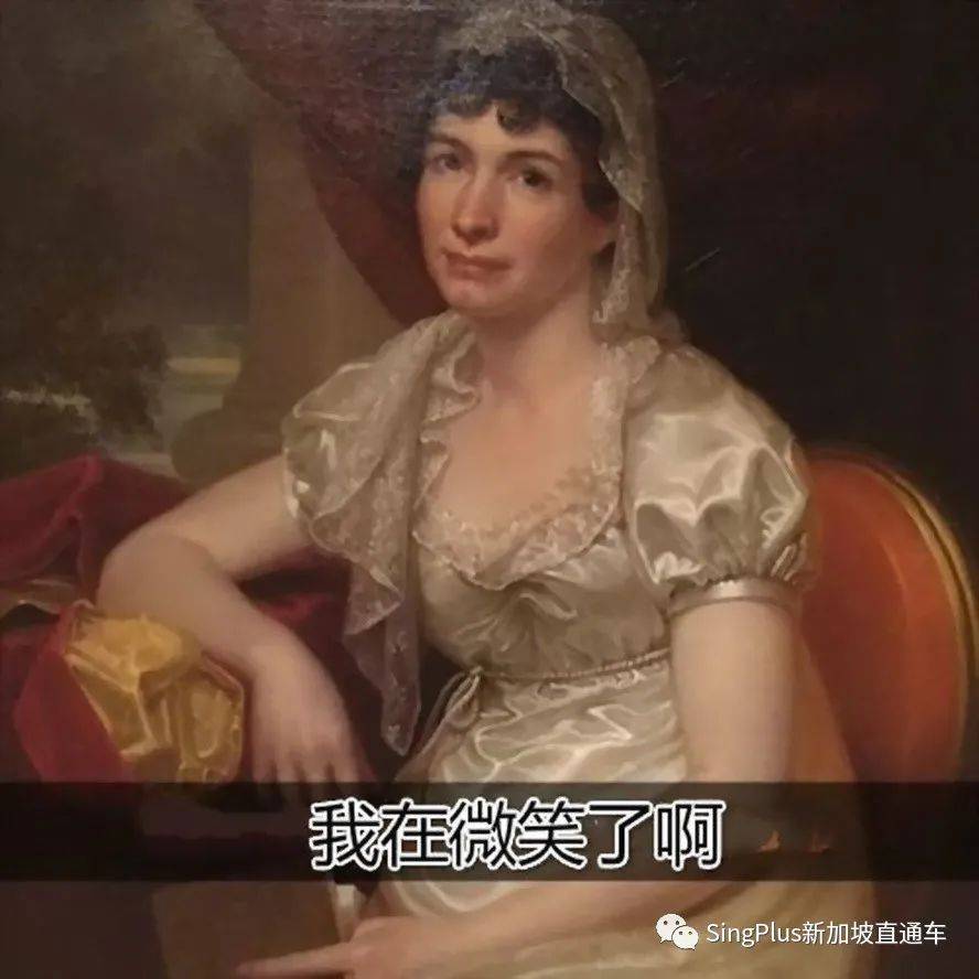 《新加坡高校留学生图鉴》