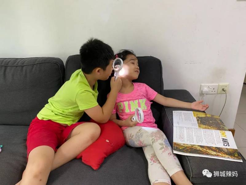 亞洲第一的螞蟻博物館居然在新加坡