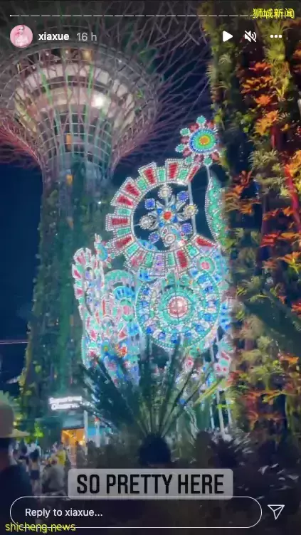 新加坡版“人從衆”模式開啓！50人集體泡腳？還有4000+人聚集活動