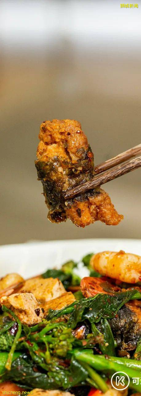 维也纳自助餐新开分店,锦鲤自助火锅火爆上线